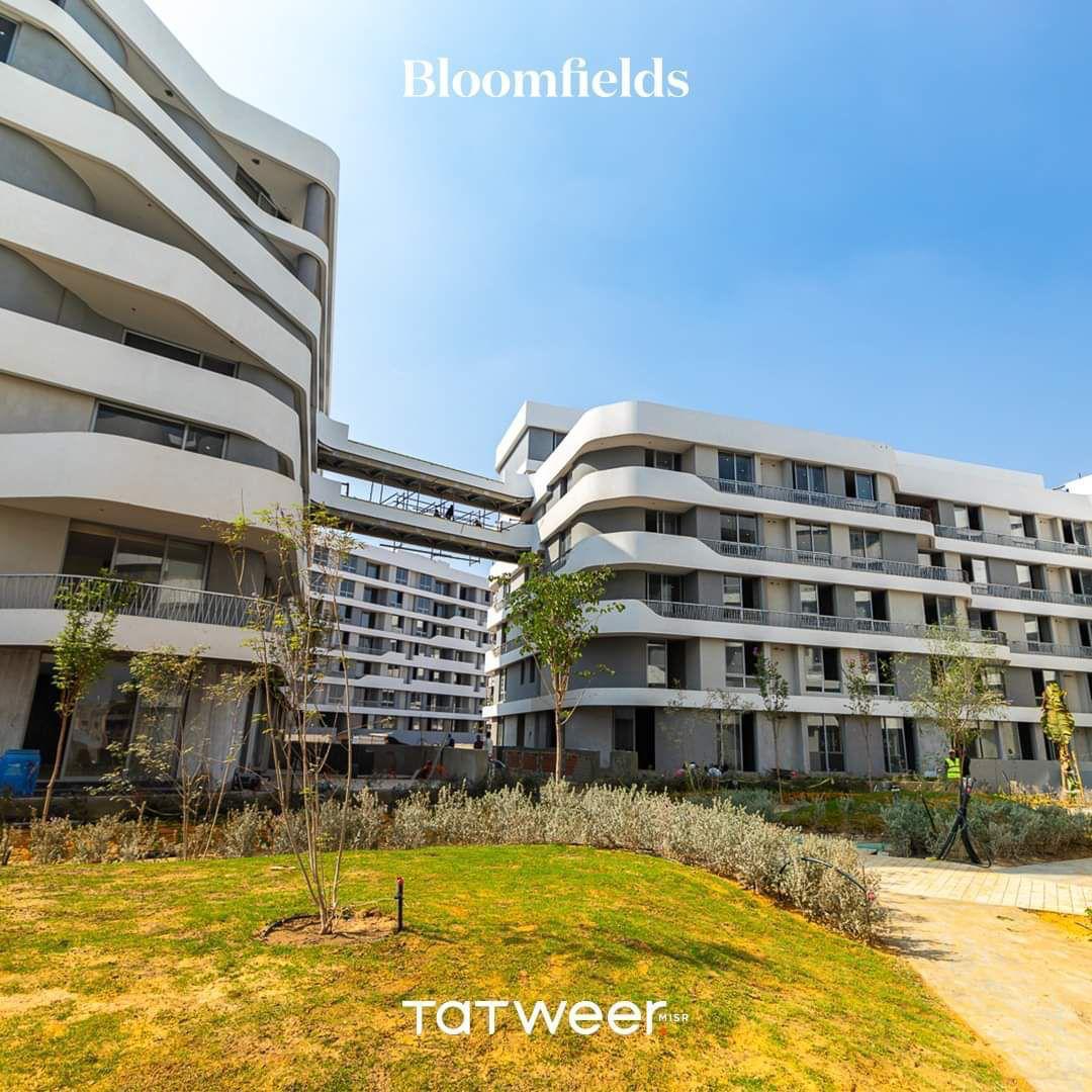 ساحات Bloomfields الخضراء