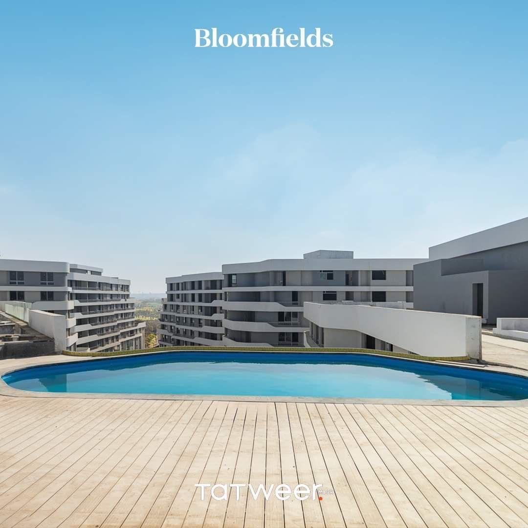 حمام سباحة Bloomfields